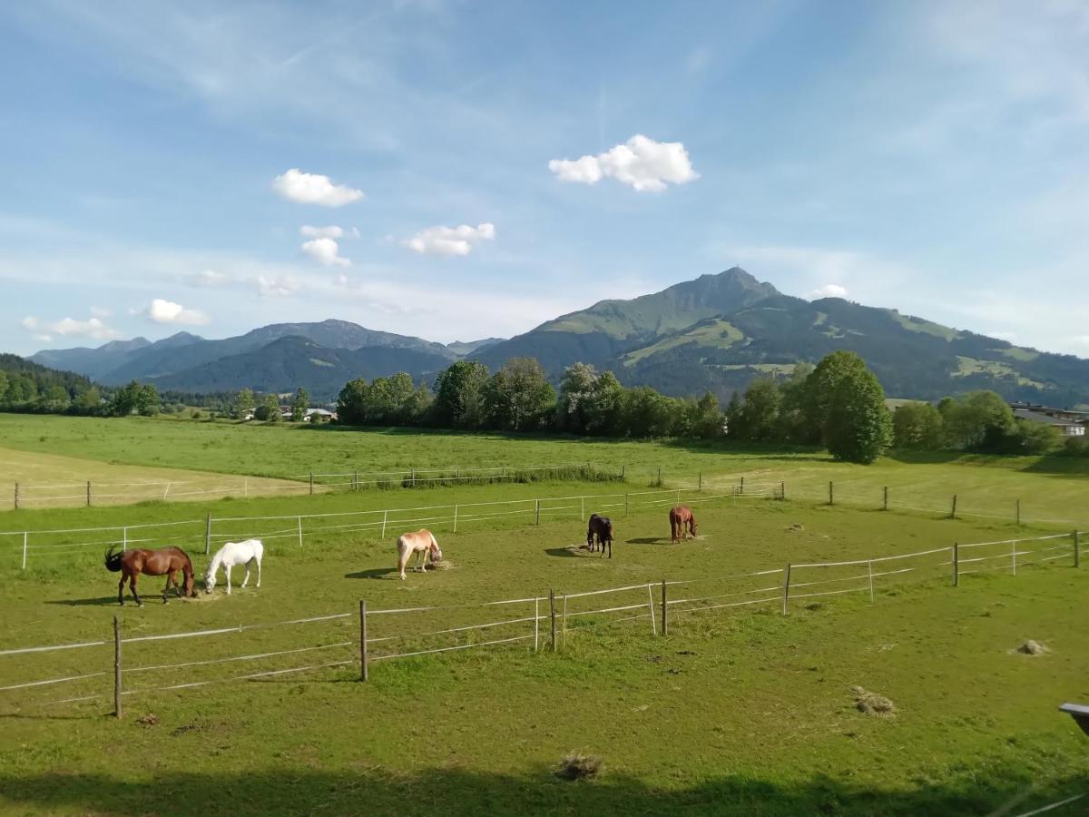 Apartment-Pension Schmiedererhof Санкт Йохан ин Тирол Екстериор снимка